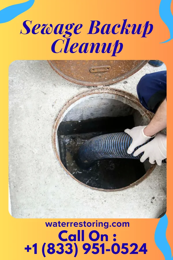 Sewage Backup Cleanup in Washington, NC
